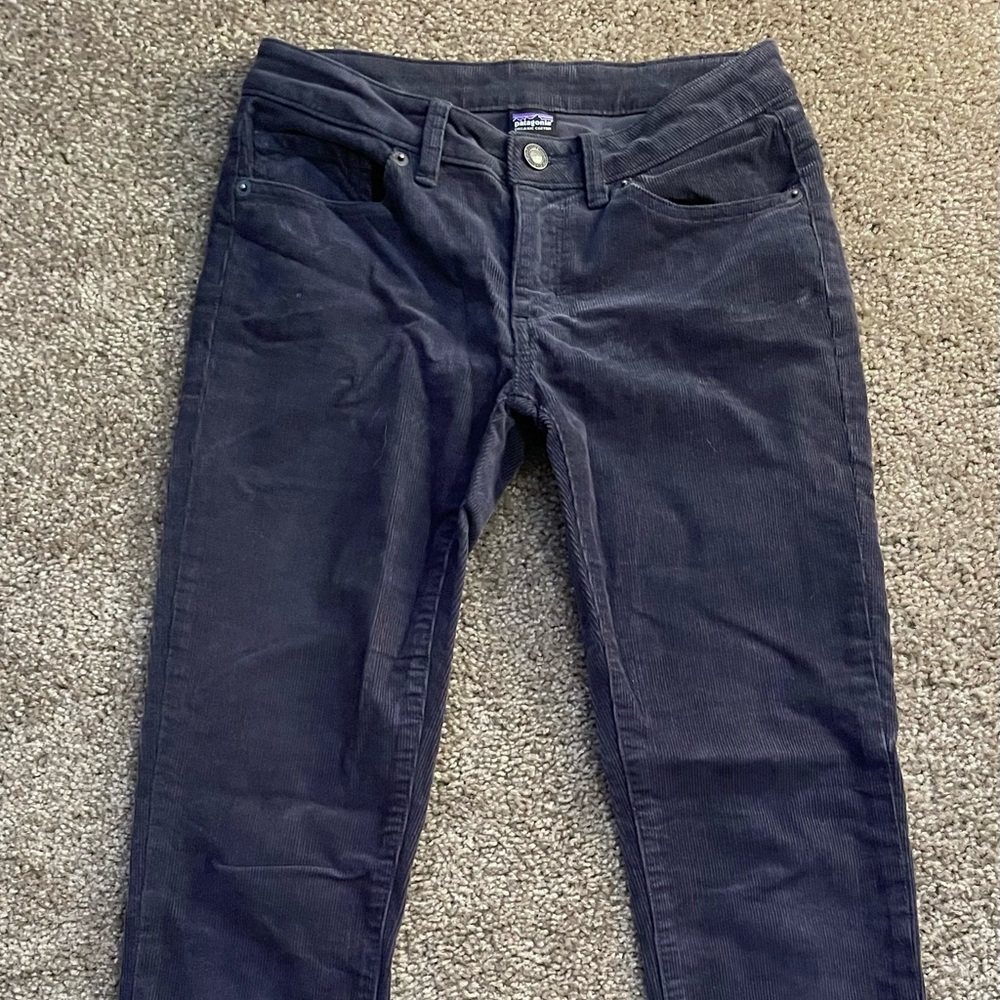 Patagonia corduroy pants